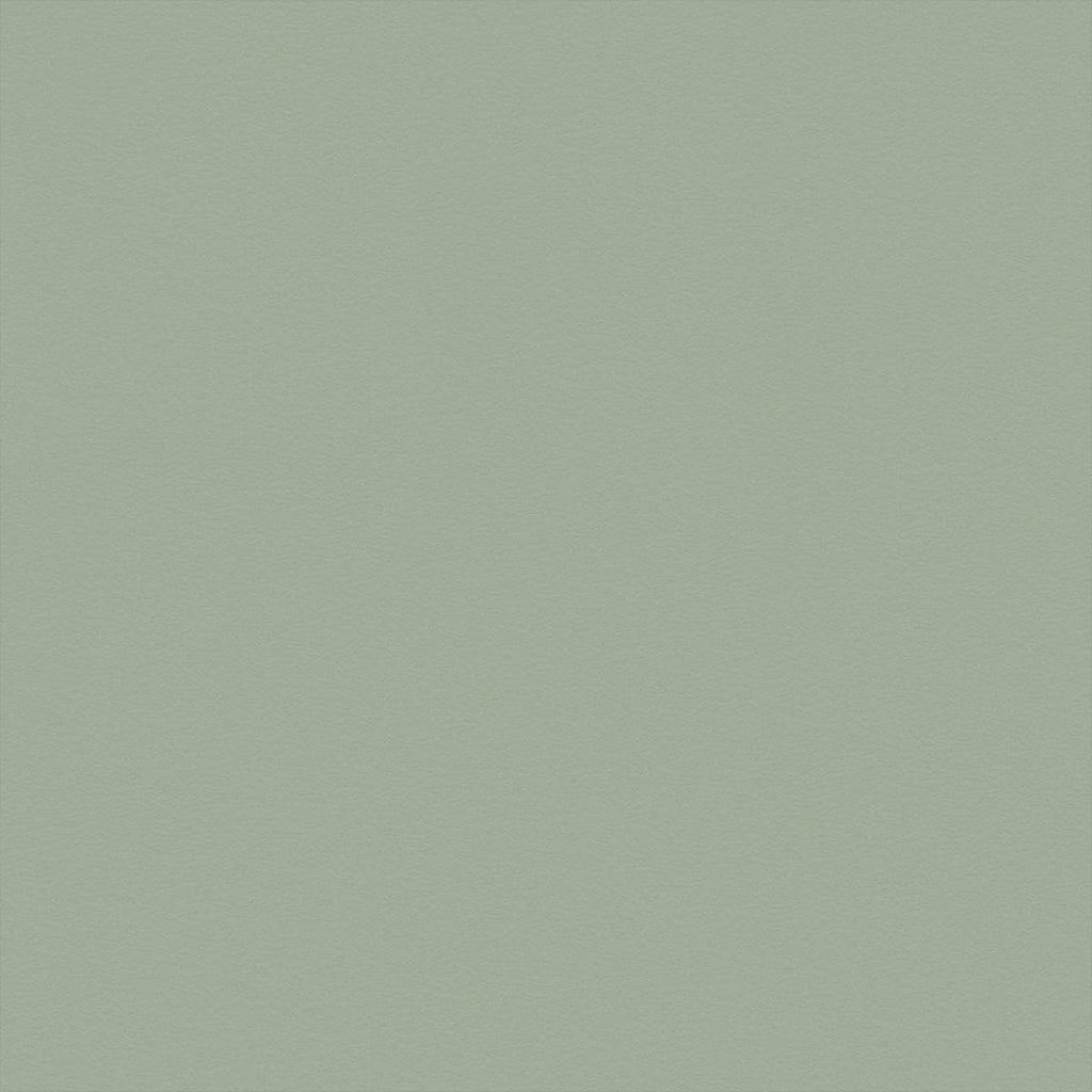 Bay Leaf (254)