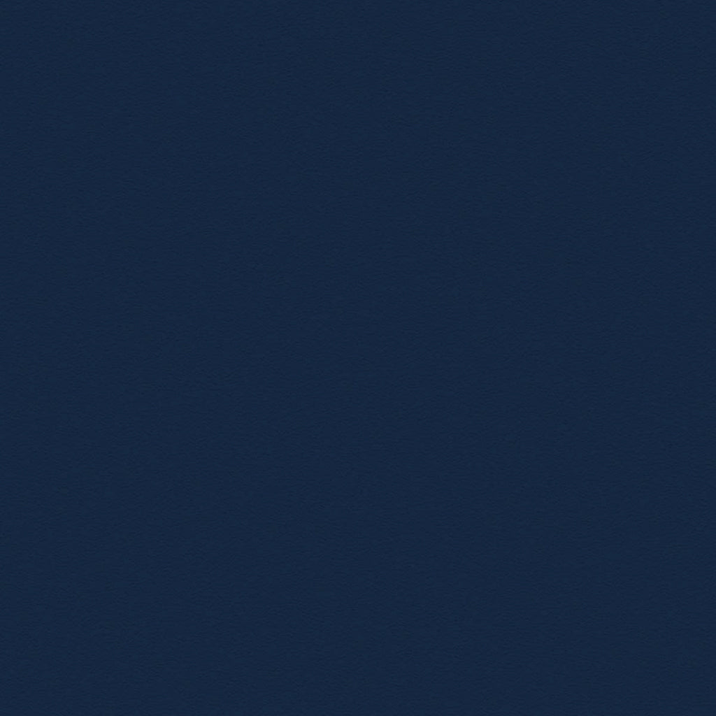 French Navy (8541)
