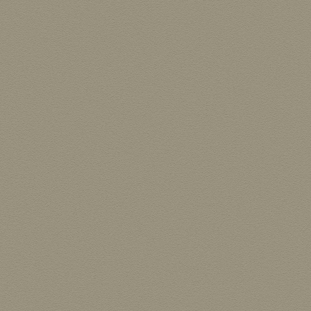 Possum (5343)