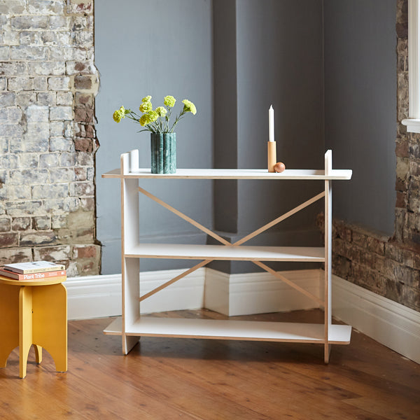 Low & Short Shelving Plywood Unit With 2 Adjustable Shelves