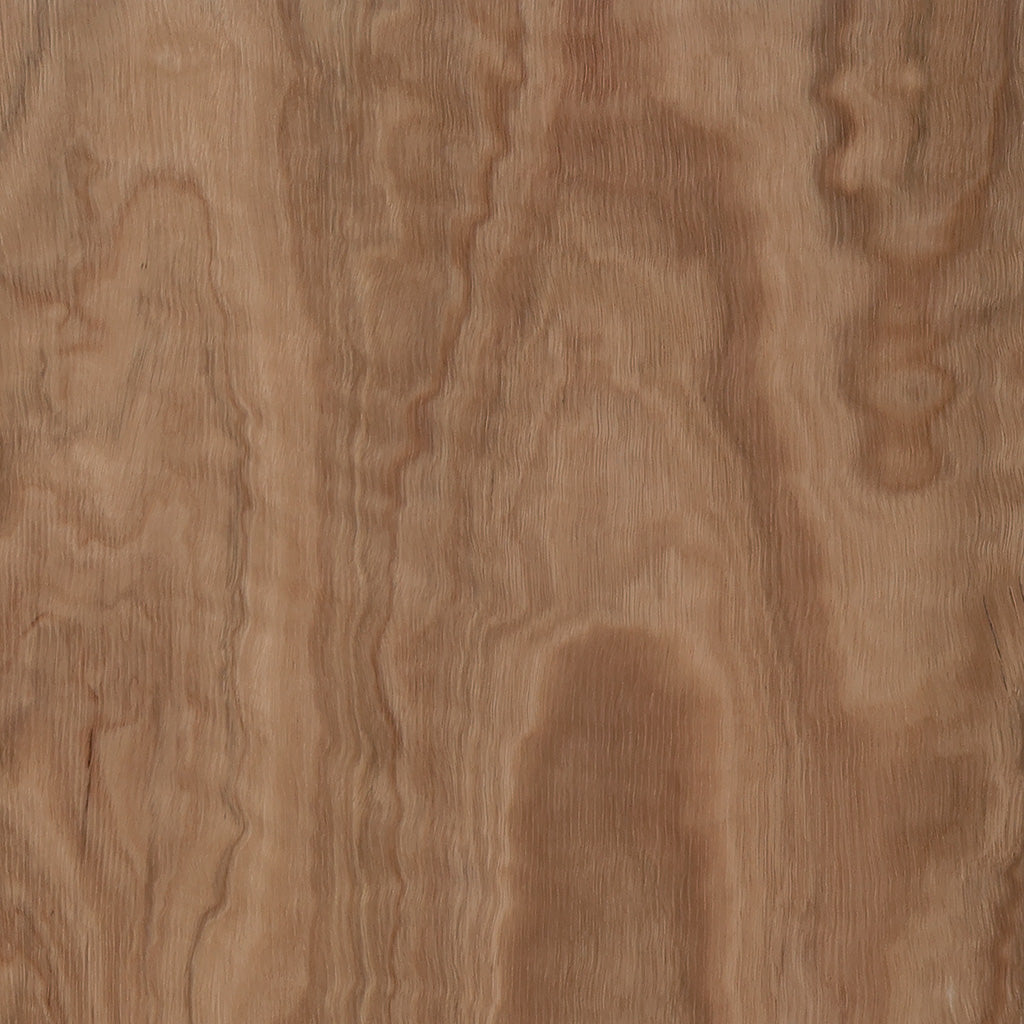 Spotted Gum (SG)