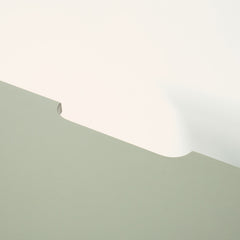 Birch Ply Desktop