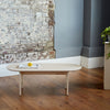 Full View of Natural Coloured Oval Shaped Plywood Coffee Table with Lemon on a Tray